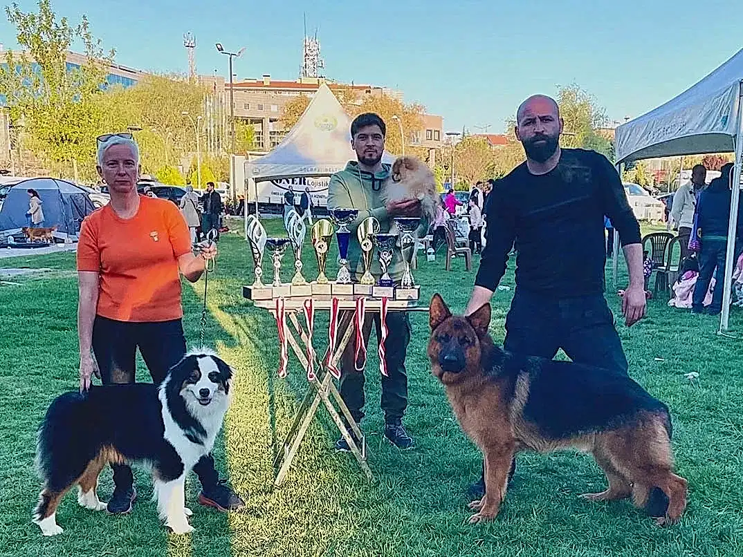 2024 Yılı Ankara Yarışması