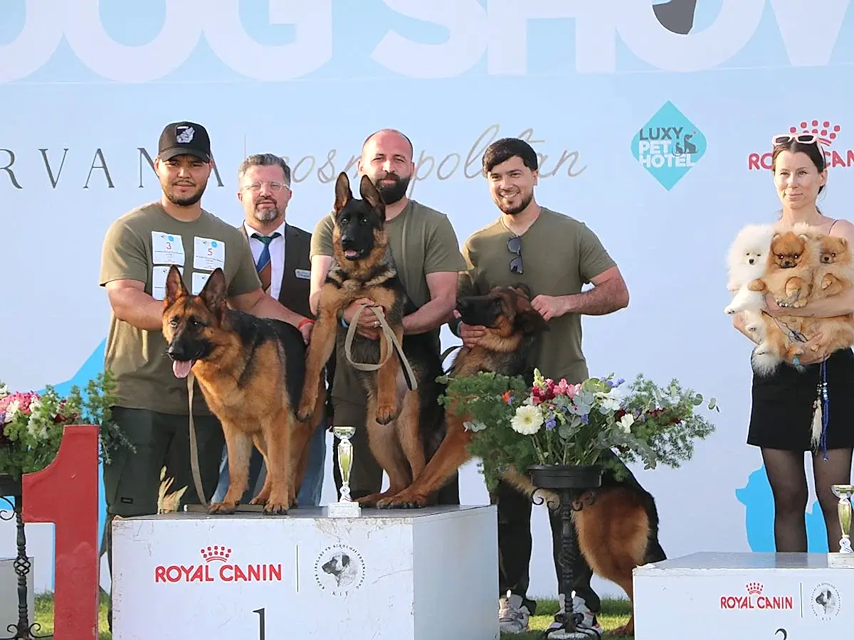 2025 Yılının Uluslararası Antalya Şampiyonasında başarılarımıza başarılar eklemeye devam ettik