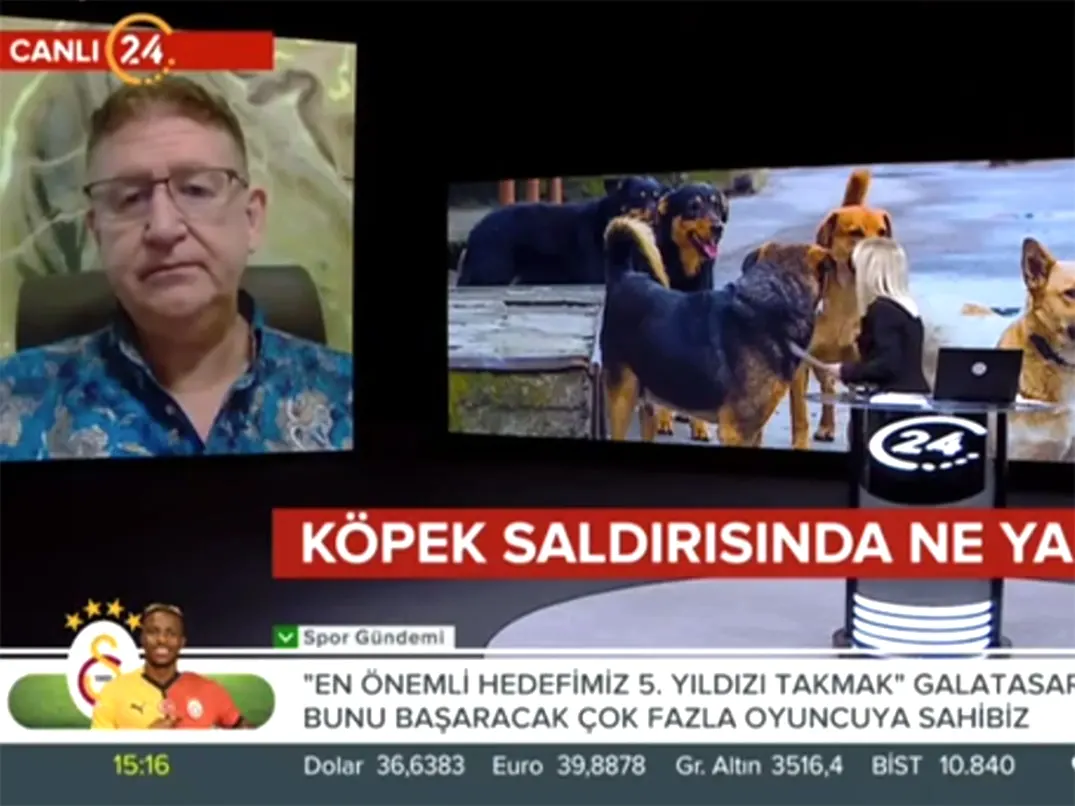 TV24 haber ekranlarında köpek saldırılarınında yapmamamız gerekenler hakkında açıklamalarda bulunduk