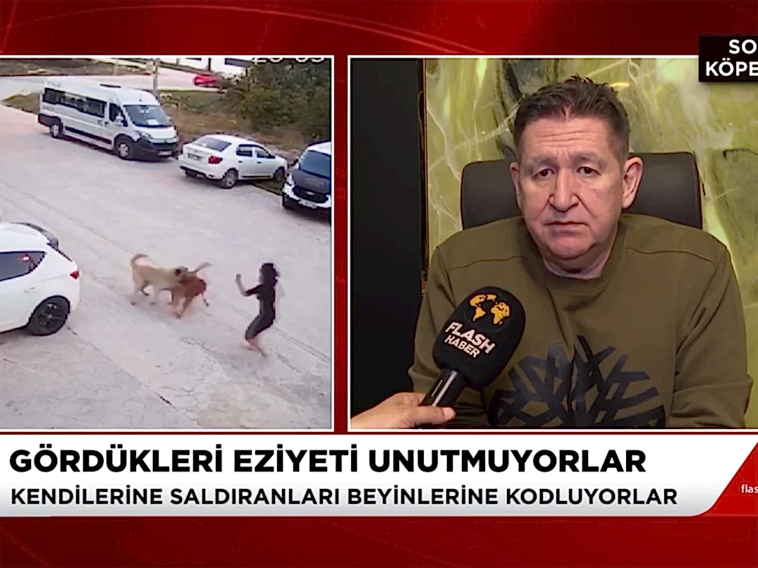 Flash TV ekranlarındaki Muhbir programında köpek saldırıları hakkında açıklamalarda bulunduk