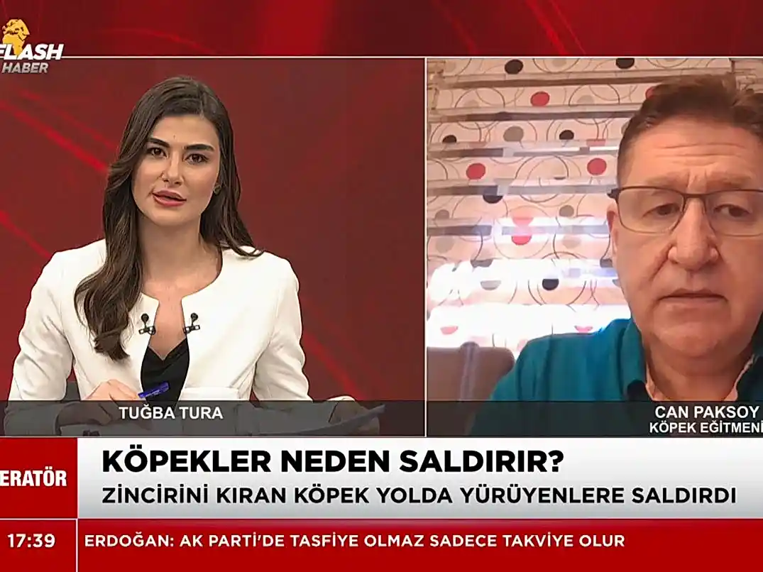 Flash TV ekranlarında Köpek saldırılarının sebebleri hakkında açıklamalarda bulunduk