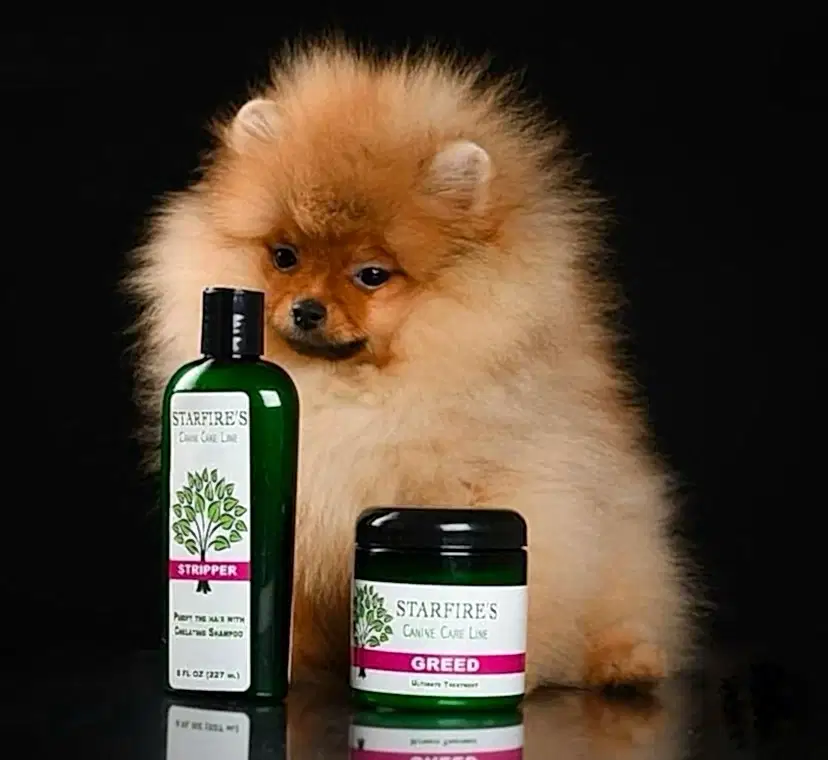 Pet dostunuzun tüylerinin yenilenmesi ve nemlendirilmesi