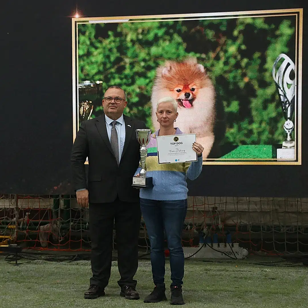 Pomeranian Köpeğimiz Miguel yavru köpekler katogorisinde 2024 TOPDOGG ödülünü kazandı