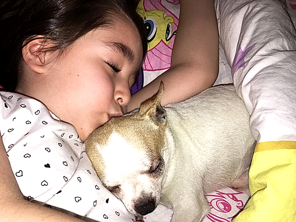 Şanslı artık Helina ile mutlu (Pet Sahiplendirme)