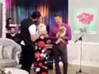 Eğitimli Boo yavrularımız Aslı Hünel'e konuk oldu