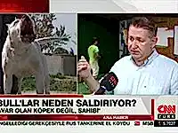 Pitbull'lar neden saldırıyor? Can Paksoy CnnTürk'e anlattı