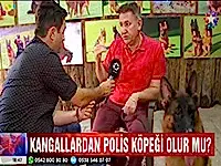 Elit Yavru Çiftliğimiz Star Tv Anahaber'e konuk oldu
