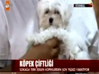 Elit Yavru'nun sosyal sorumluluk projeleri Atv Anahaber'de