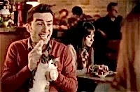 Elit Yavru kedisi Şahika Avea reklamlarında :)