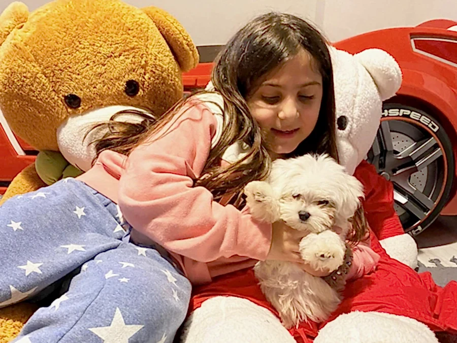 Adana'dan Zeliha Hanım ve ailesi Maltese yavrularına kavuştular