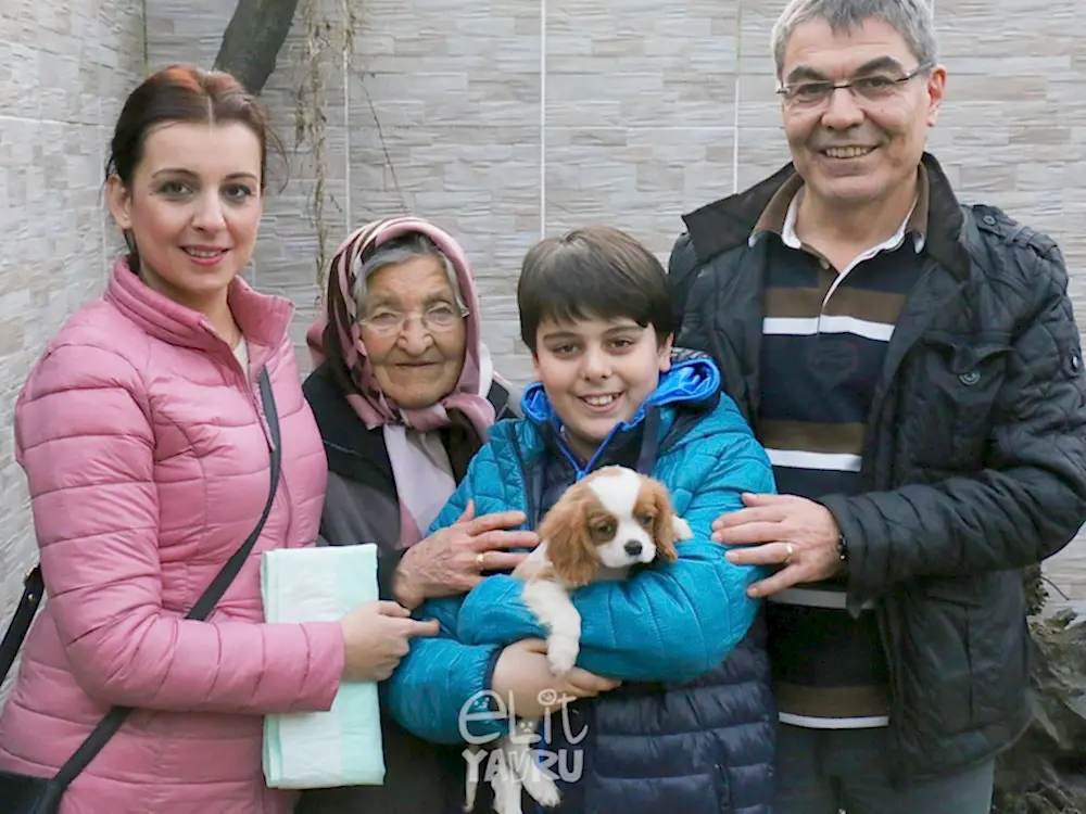 Akın ailesinin yeni dostu Cavalier yavrumuz