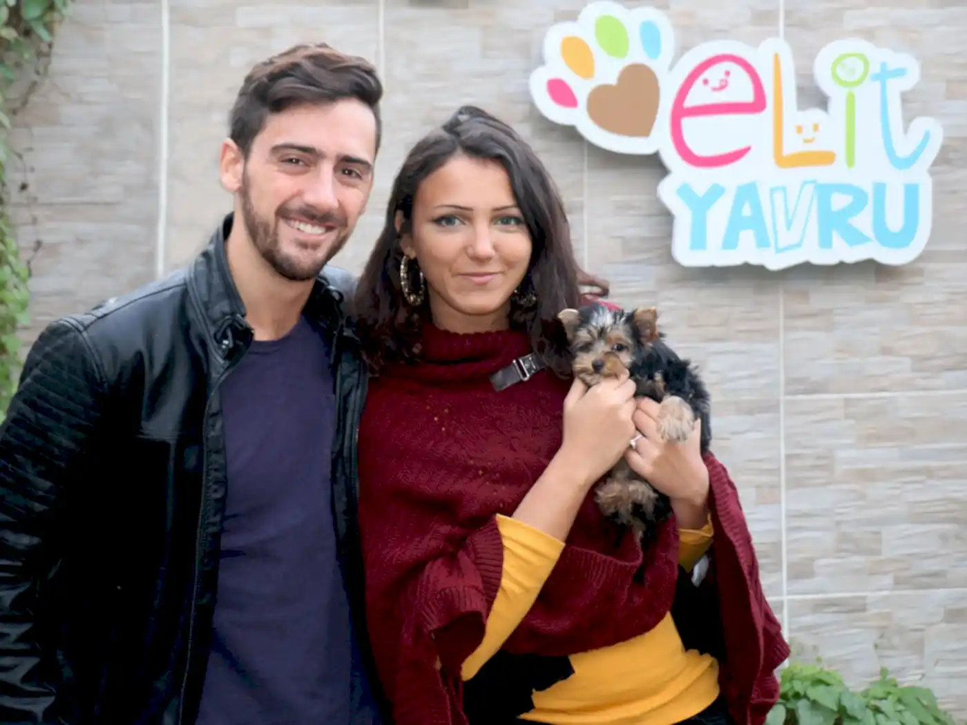 Amerikalı David James'in Yorkshire Terrier yavrusu