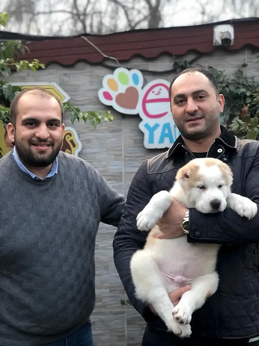Arya Bey ve ailesi Alabai yavrularına kavuştular