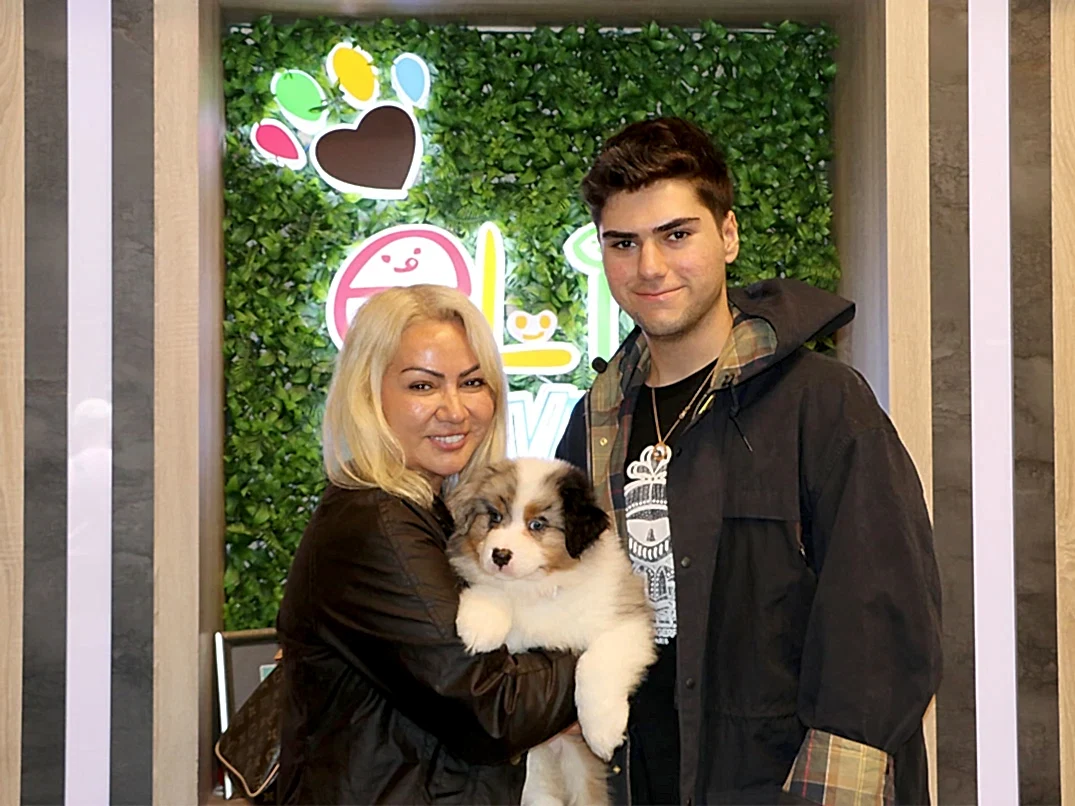 Sevgili Ayça Hanım ve ailesi Blue Merle rengindeki Australian Shepherd yavrularına kavuştular