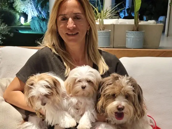 Morkie kızımız Mini İzmir'deki ailesine kavuştu