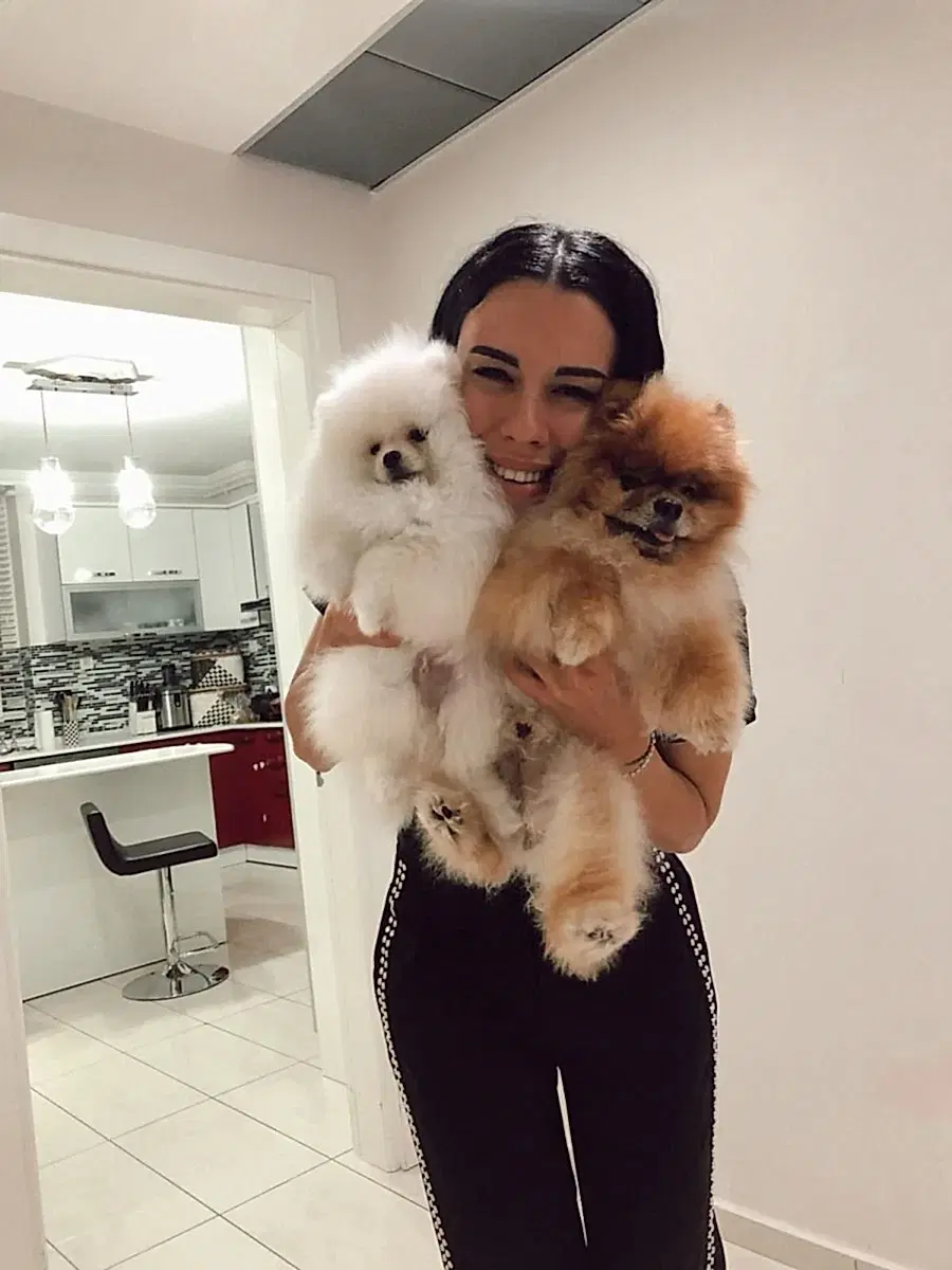 Balıkesir'den Akçakoyun Ailesi Buffy'ye kavuştu