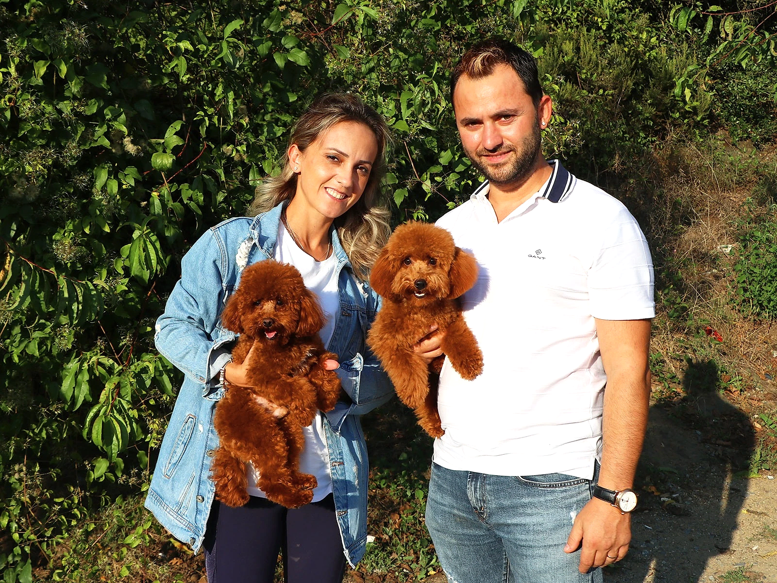 Barutçu Ailesinin Poodle dostları eğitimlerini başarılı bir şekilde tamamladı