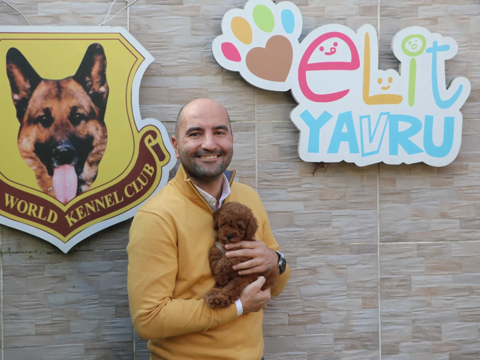 Başkaya ailesi Red Brown Poodle yavrularına kavuştu