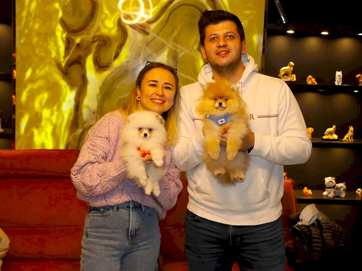 Baykal ailesi Pomeranian dostumuz Oslo'dan sonra Tokyo'yuda ailesine dahil etti