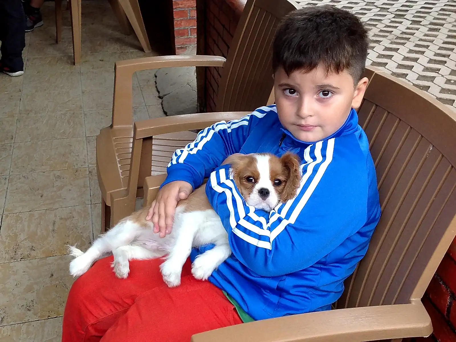 Beren merakla beklediği Cavalier köpeğine kavuştu