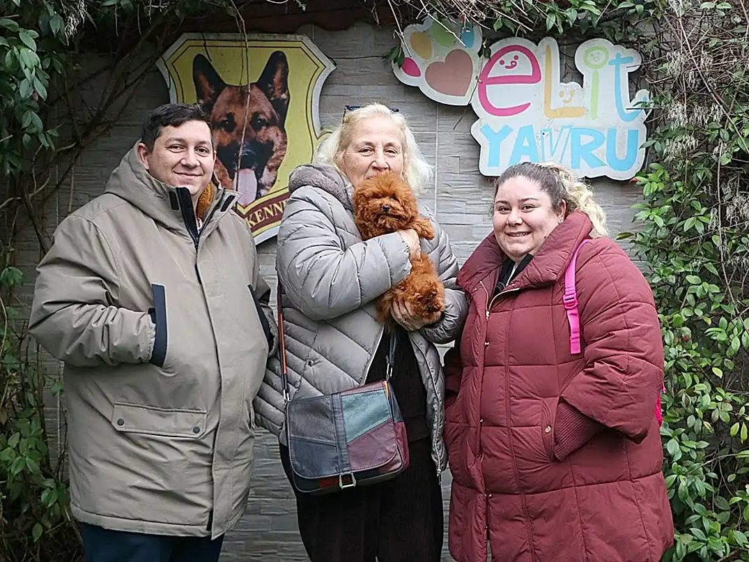 Sevgili Beyhan Hanım ve ailesi Poodle yavrularına kavuştular