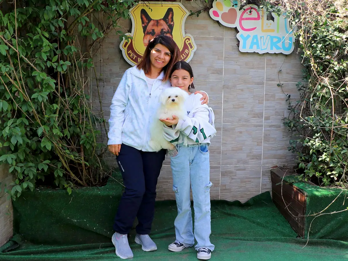 Yalova'dan Çavuş ailesi Maltese yavrularına kavuştular