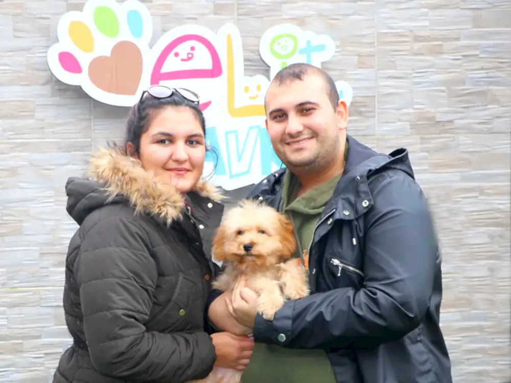 Çakır Ailesi, Poodle elit yavrularına kavuştu :)