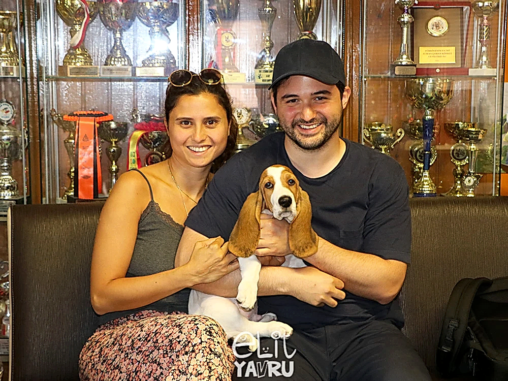 Can Çinilioğlu, Basset Hound elit yavrusuna kavuştu
