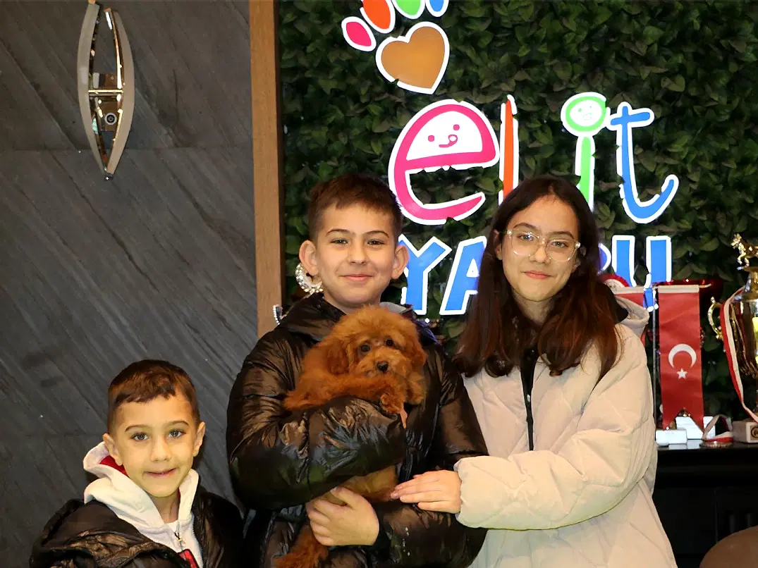Sevgili Cansu Hanım ve ailesi Poodle yavrularına kavuştular