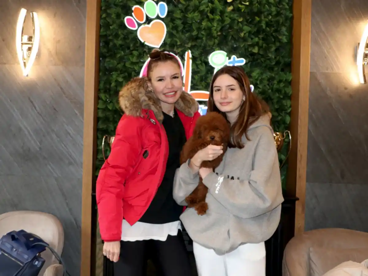 Çiğdem Hanım ve ailesi Redbrown Poodle yavrularına kavuştular