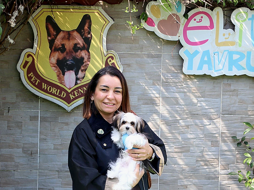 Tekirdağ'dan Cihan Hanım ve ailesi Teacup Morkie yavrularına kavuştular