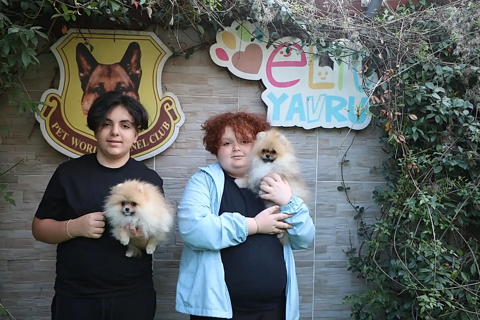 Ankara'dan Ulusoy ailesi Pomeranian yavrularına kavuştular