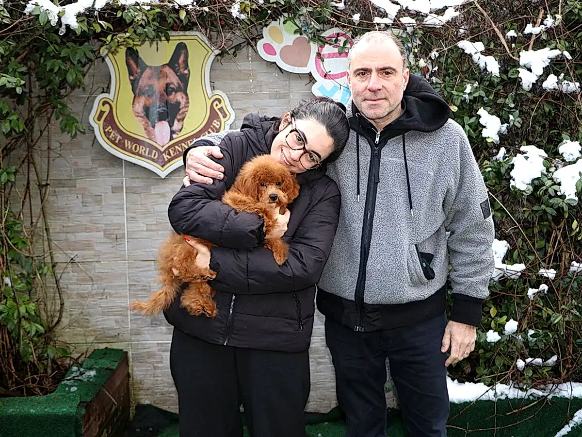 Sevgili Deren Hanım ve ailesi Poodle yavrularına kavuştular