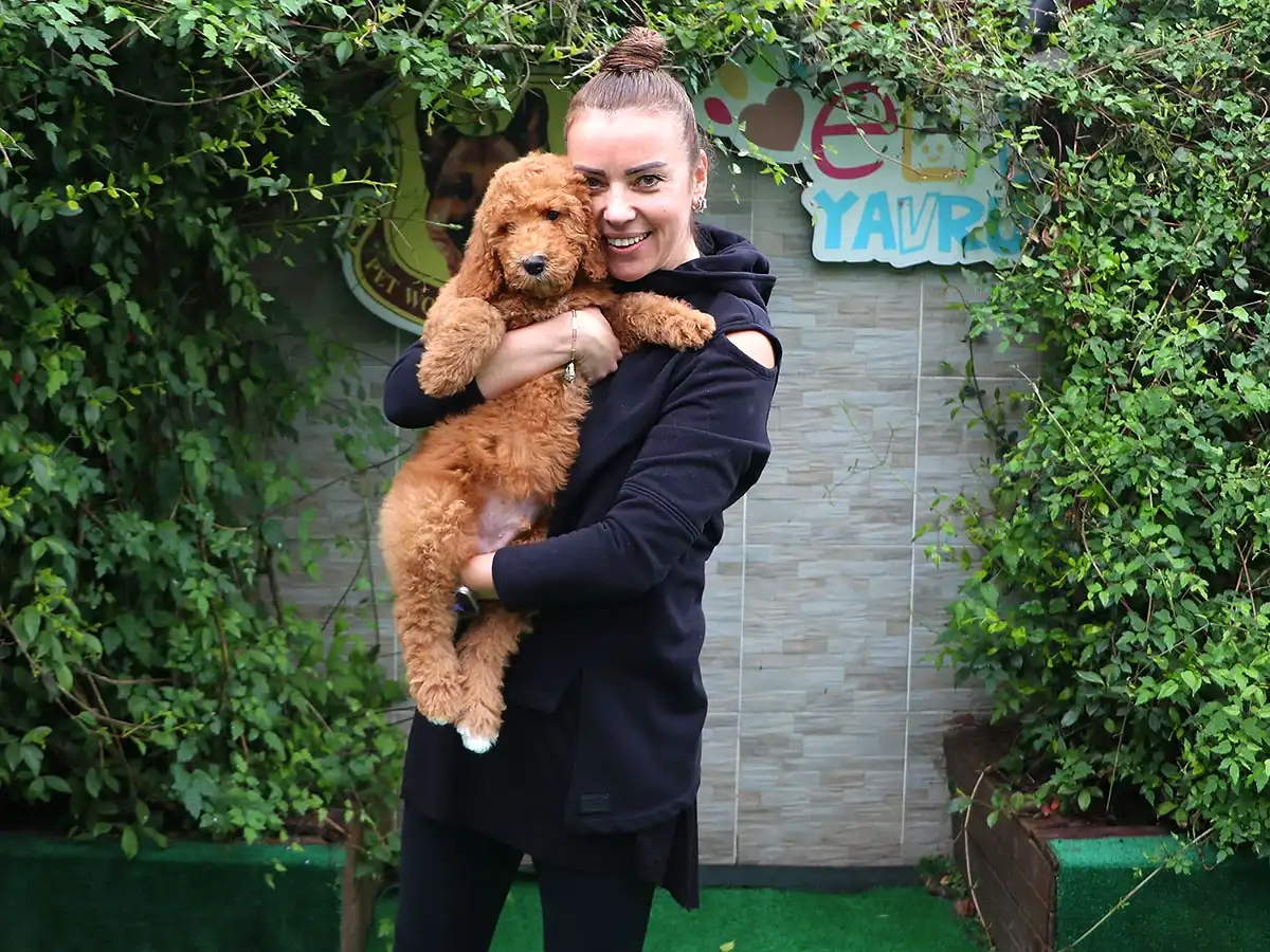 Didem Hanım Labradoodle oğluna kavuştu