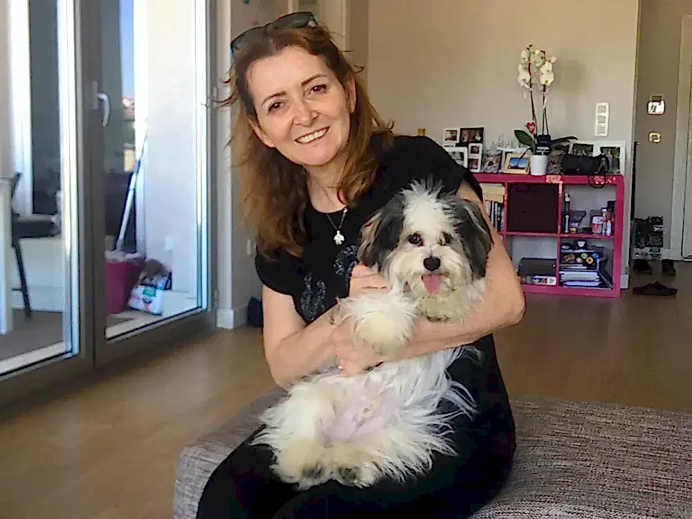 Dizayn ırk Morkie Leo, tuvalet eğitimini tamamladı