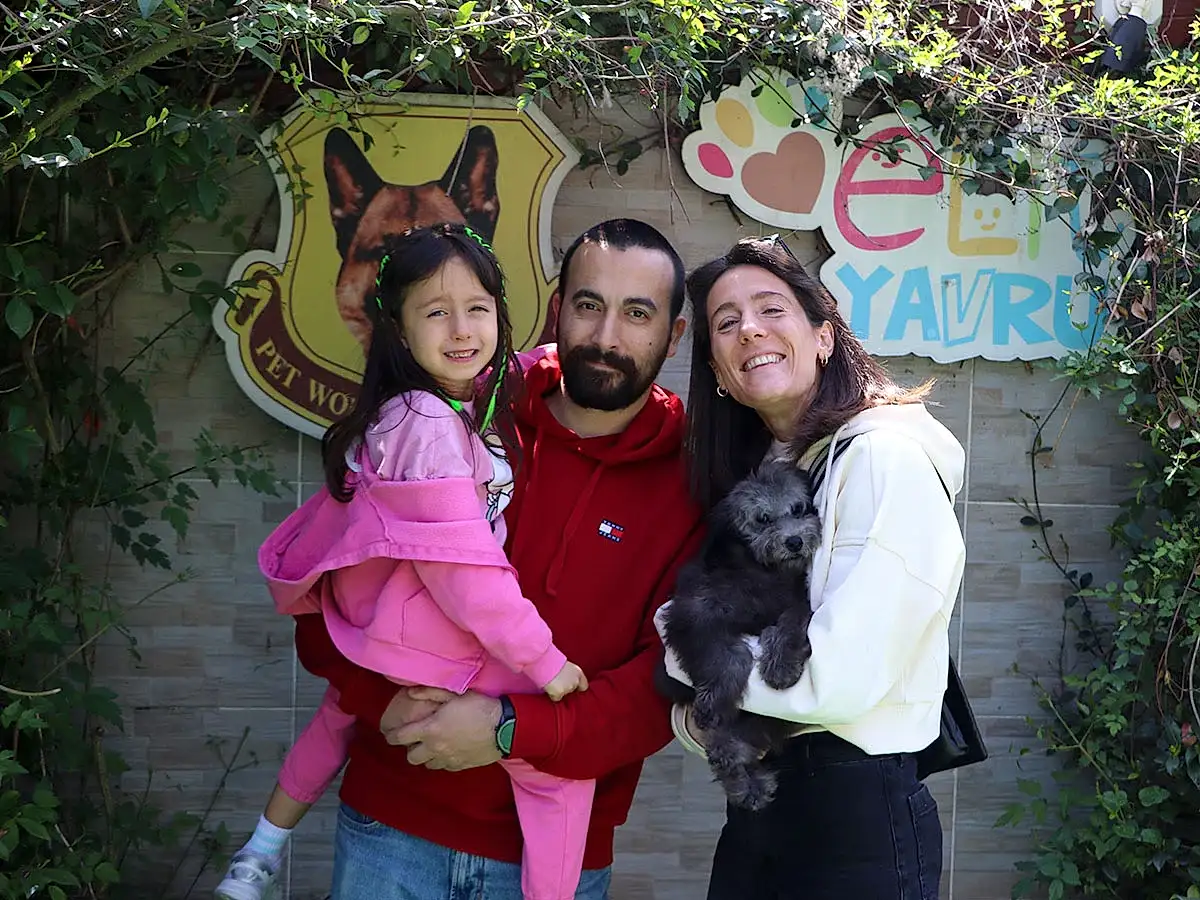 Sevgili Yaman ailesi Silver Poodle yavrularına kavuştular