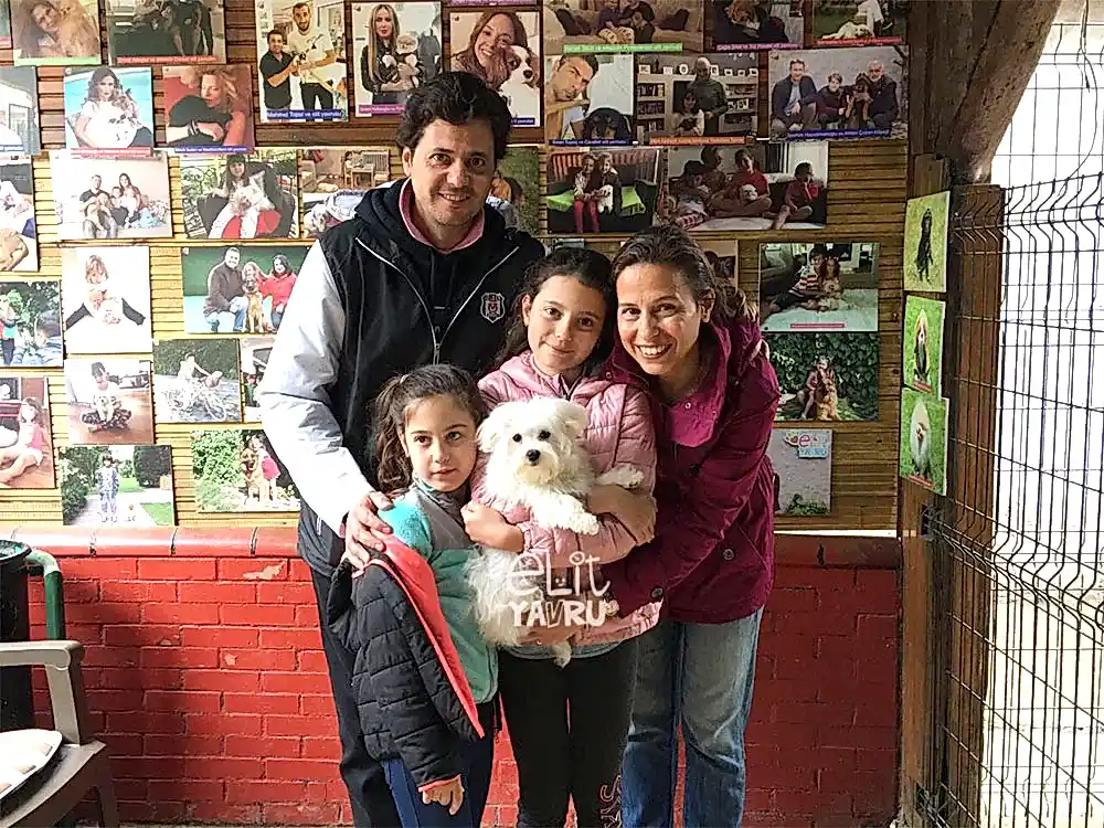 Erdoğan Ailesi, Maltese Terrier elit yavrusuna kavuştu