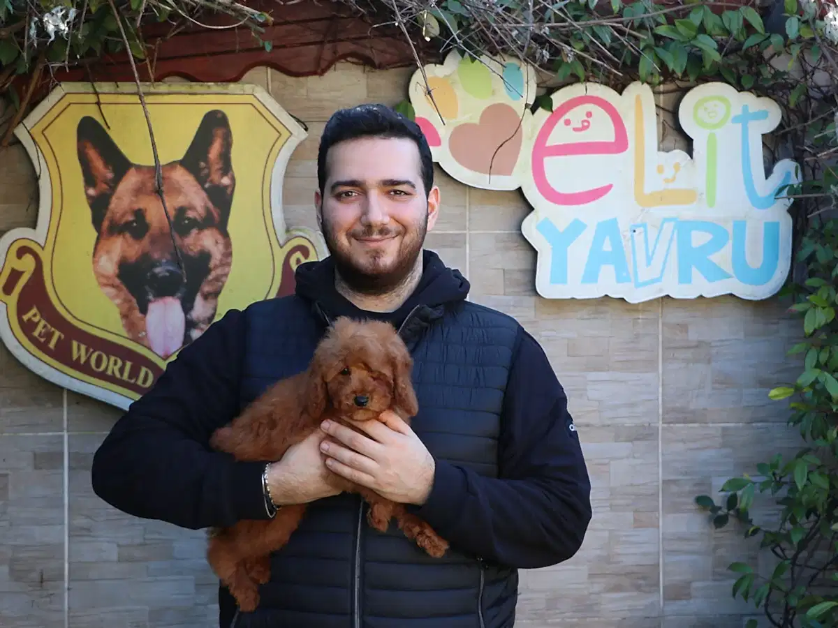 Erdoğan Ailesi, Elit Yavru Çiftliğimizden Poodle Yavrularını Ailelerine Dahil Etti