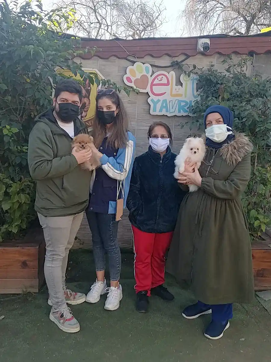 Ertük ailesi Pomeranian yavrularına kavuştular