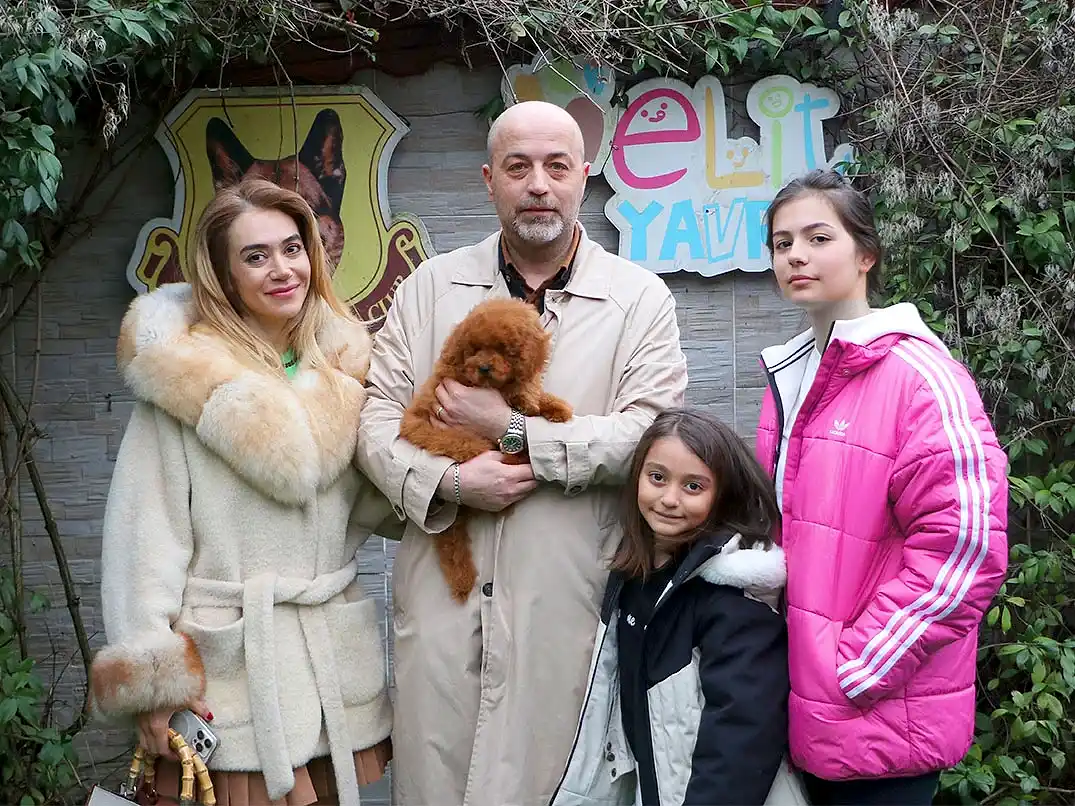 Tekirdağ'dan Fatih Bey ve ailesi Poodle yavrularına kavuştular