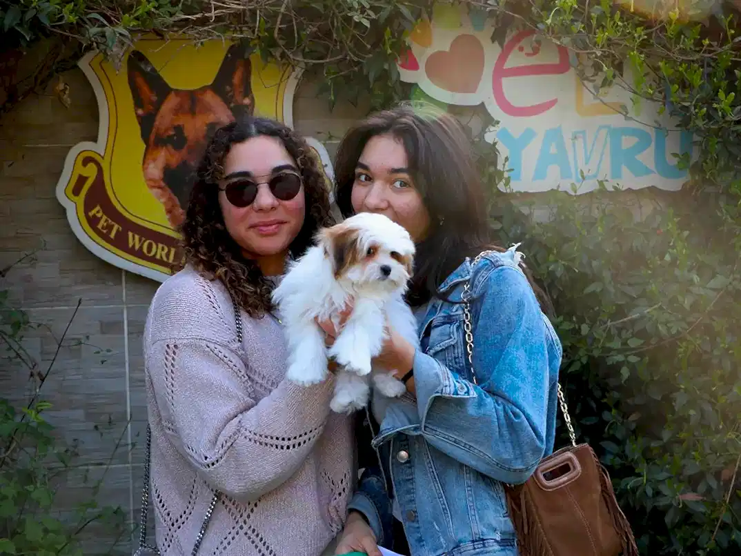 Funda Hanım ve kızları Morkie yavrularına kavuştular