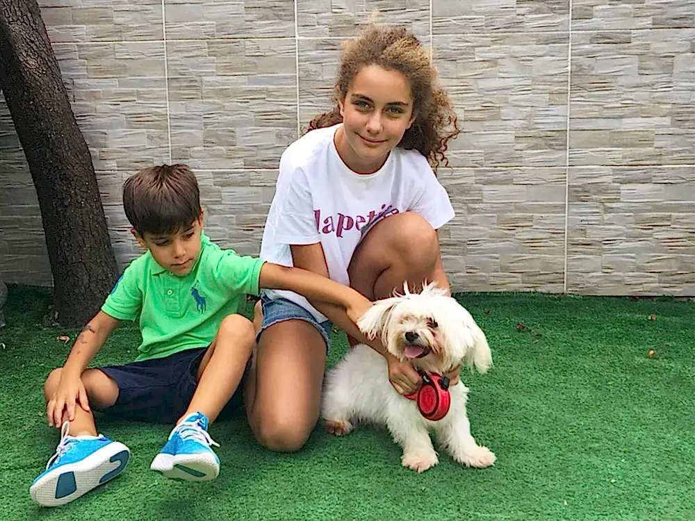 Gasser Ailesi'nin Maltese elit yavruları eğitimini tamamladı