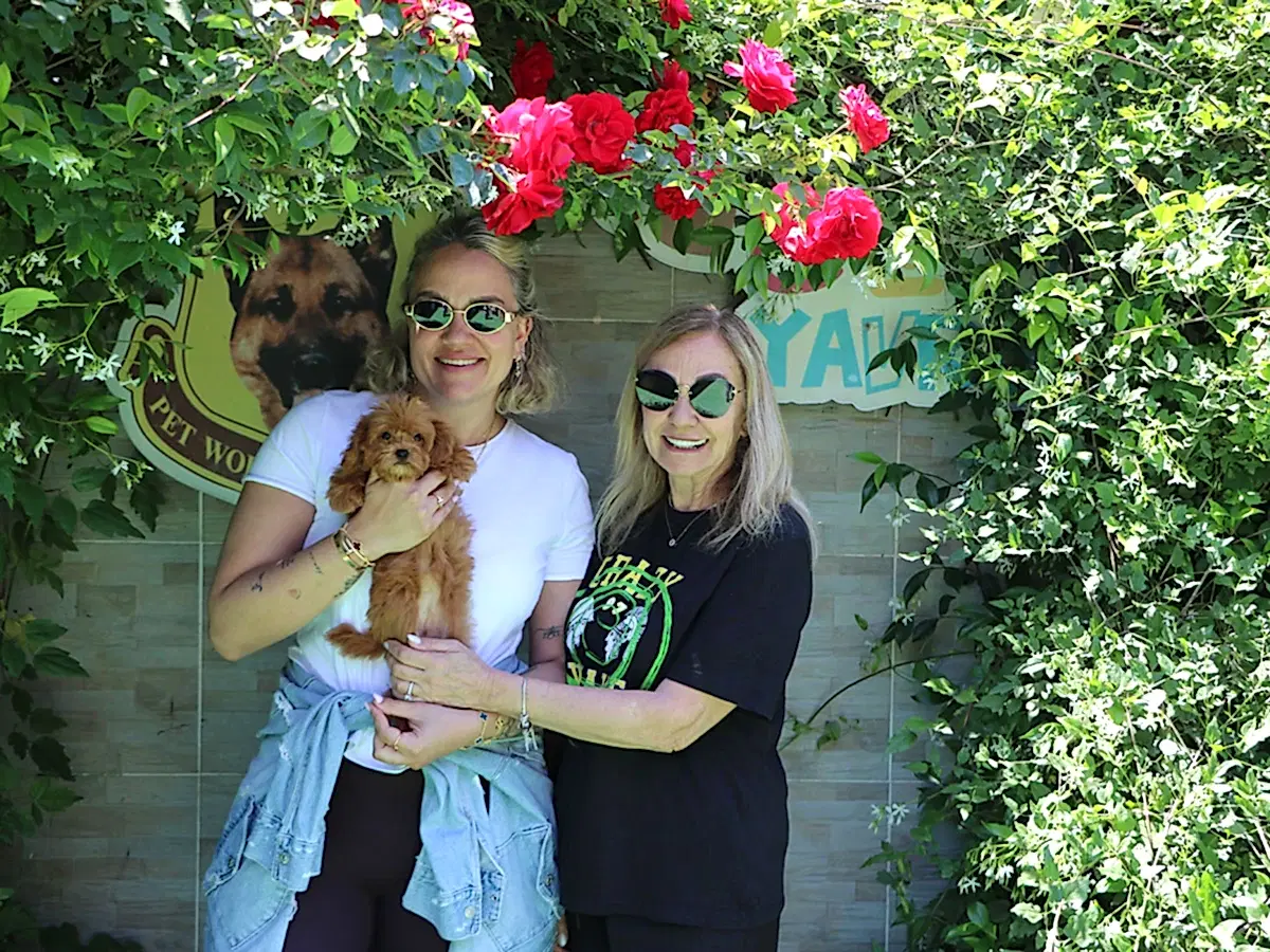 Gizem Hanım ve ailesi Teacup Maltipoo yavrularına kavuştular