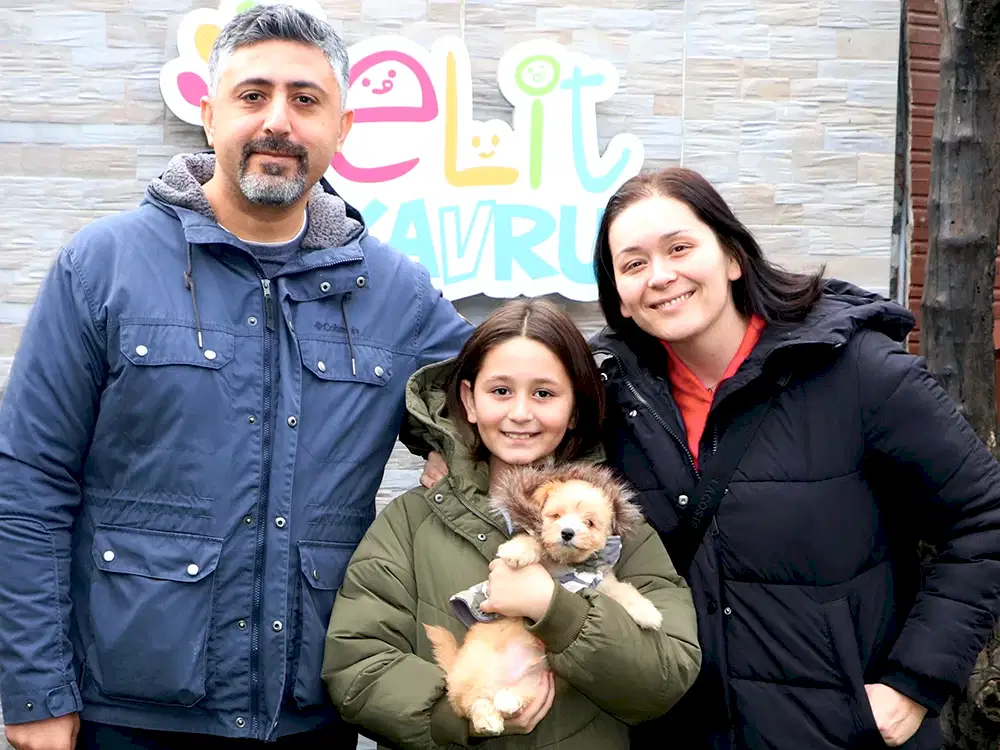 Gülfer Hanım ve Ailesi, dizayn Morkie yavrularına kavuştu