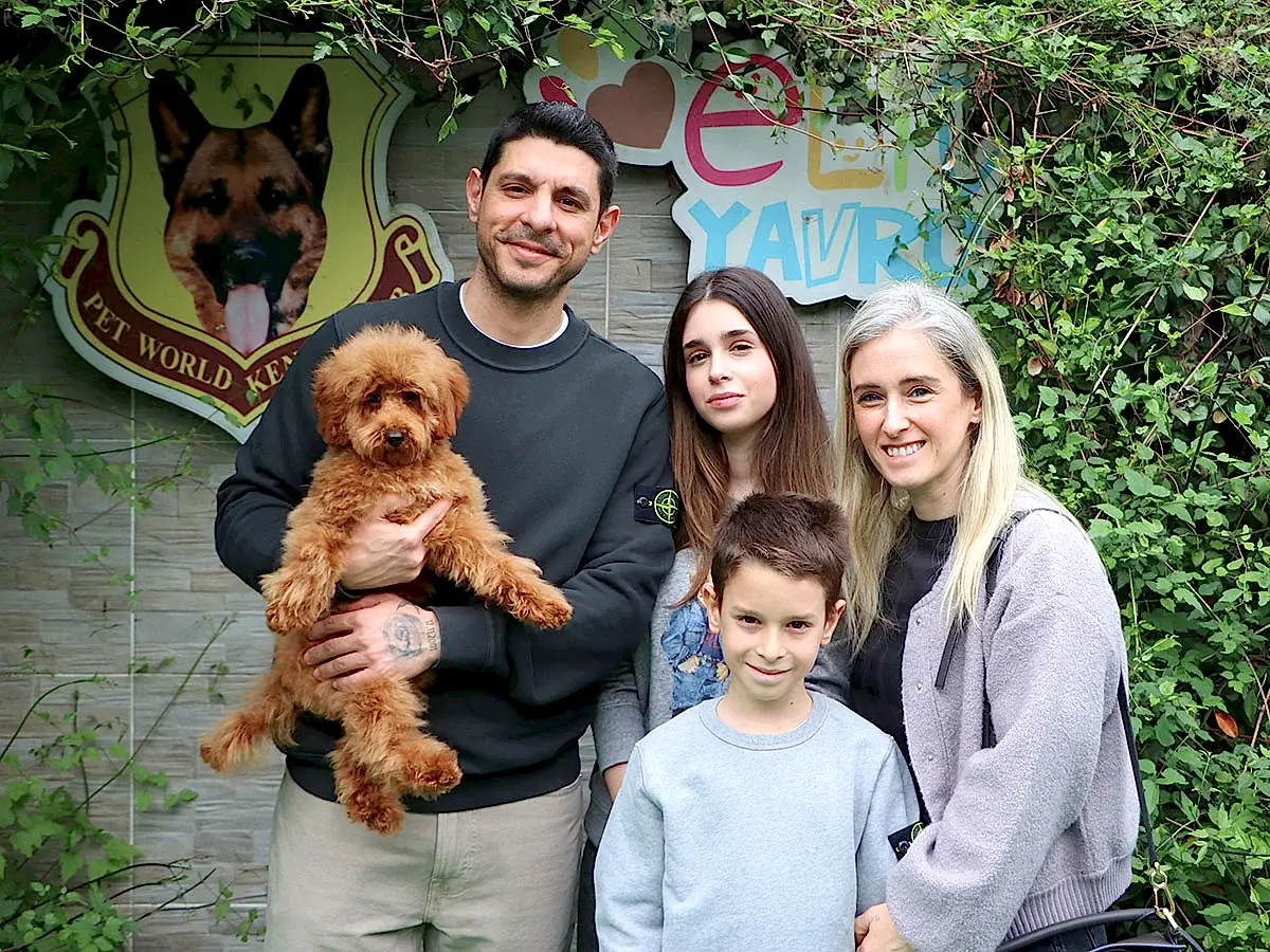 Haluk Bey ve ailesi Poodle yavrularına kavuştular