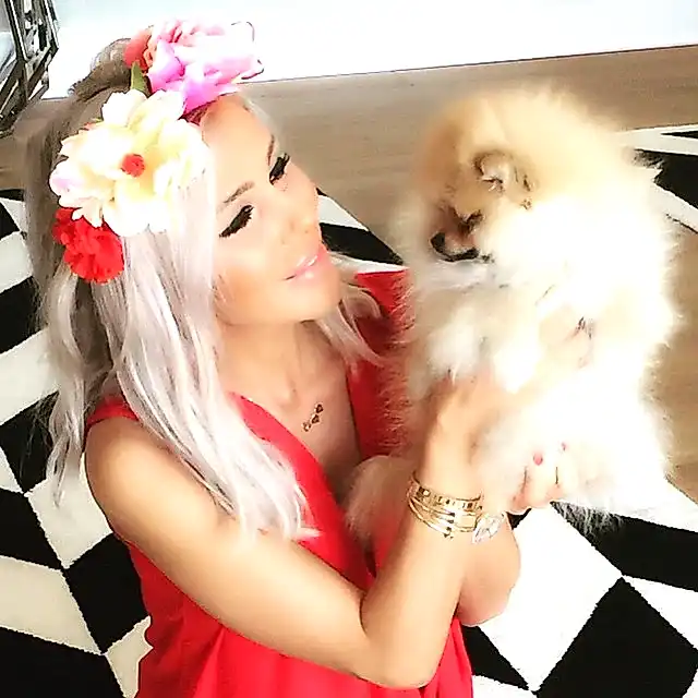 Hande Acar'ın Boo köpeği Ponçik