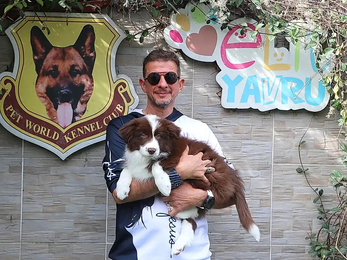 Antalya'dan Hasan Bey ve ailesi Border Collie yavrularına kavuştular