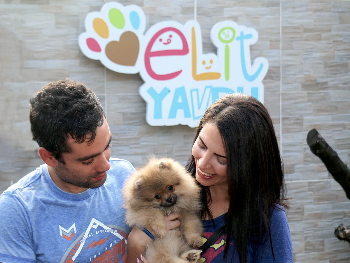 Kağan&Özge çiftinin Pomeranian yavrusu