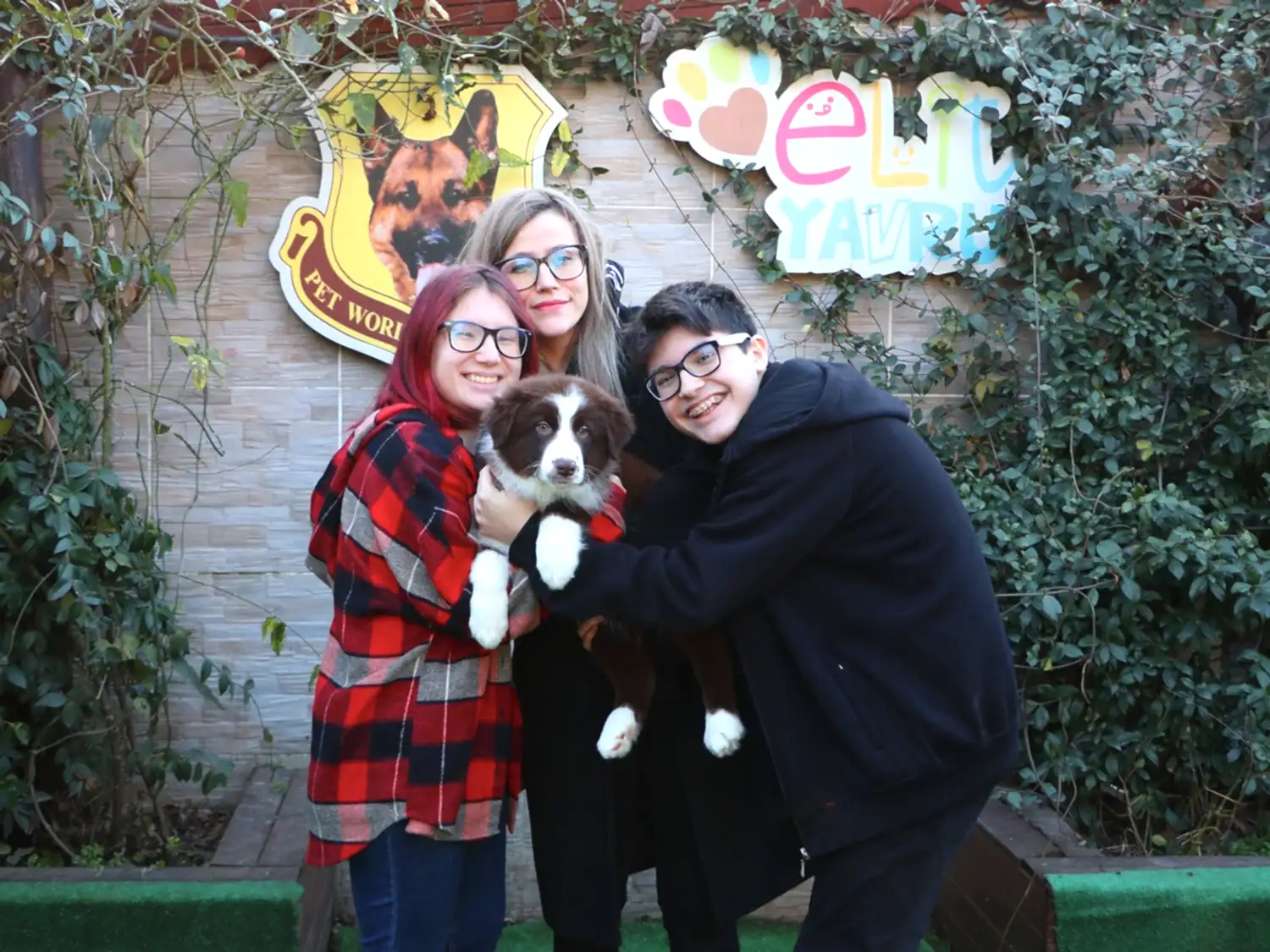 Kaplan Ailesi Border Collie yavrularına kavuştular