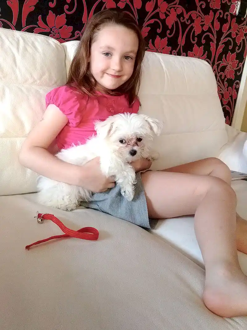 Küçük Gülnaz köpek korkusunu yendi